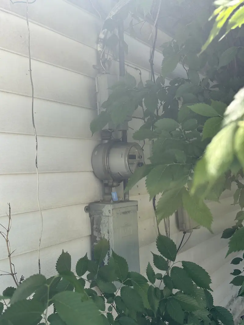 3919 Elysian St: Before