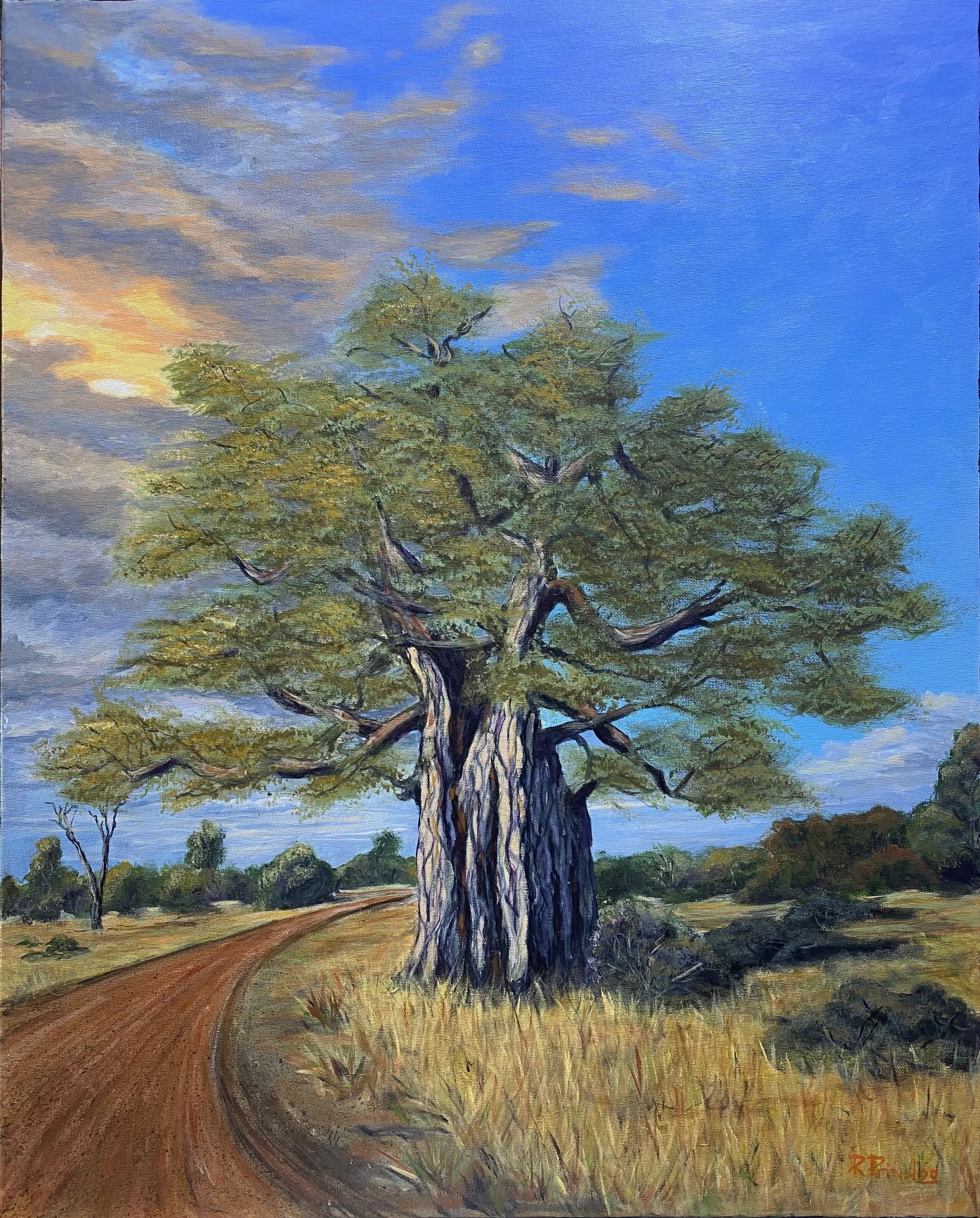 Baobab artwork by Riaan Prinsloo