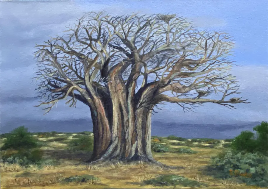 Baobab tree artwork by Riaan Prinsloo