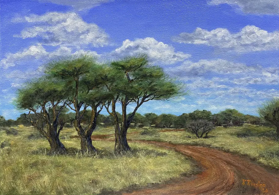South African landscape artwork by Riaan Prinsloo