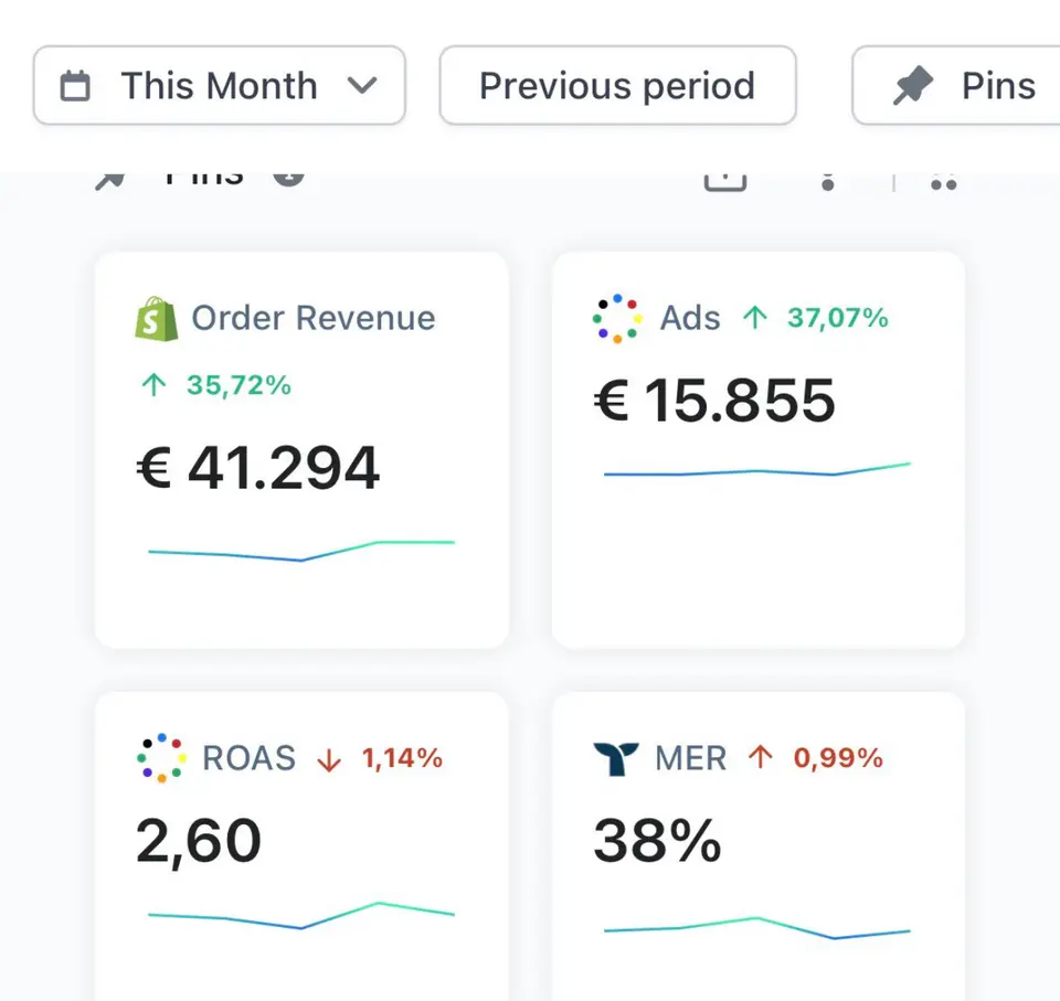 Dashboard con 41.294 euro di ricavi, 15.855 euro di advertising e MER del 38 percento