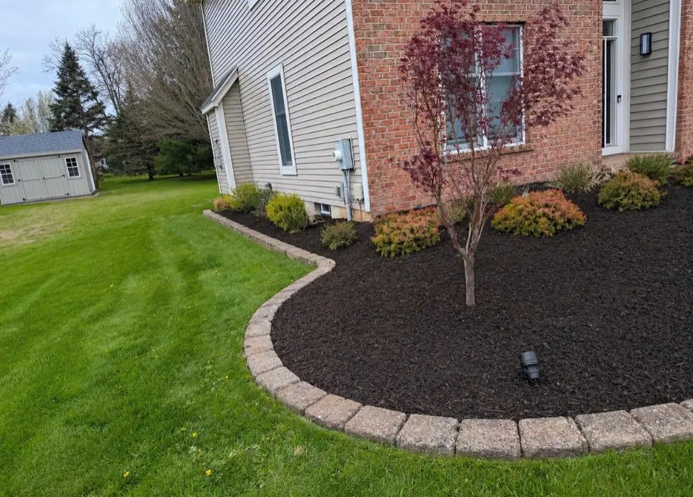 Same bed after: fresh dark mulch, cleaned paver border