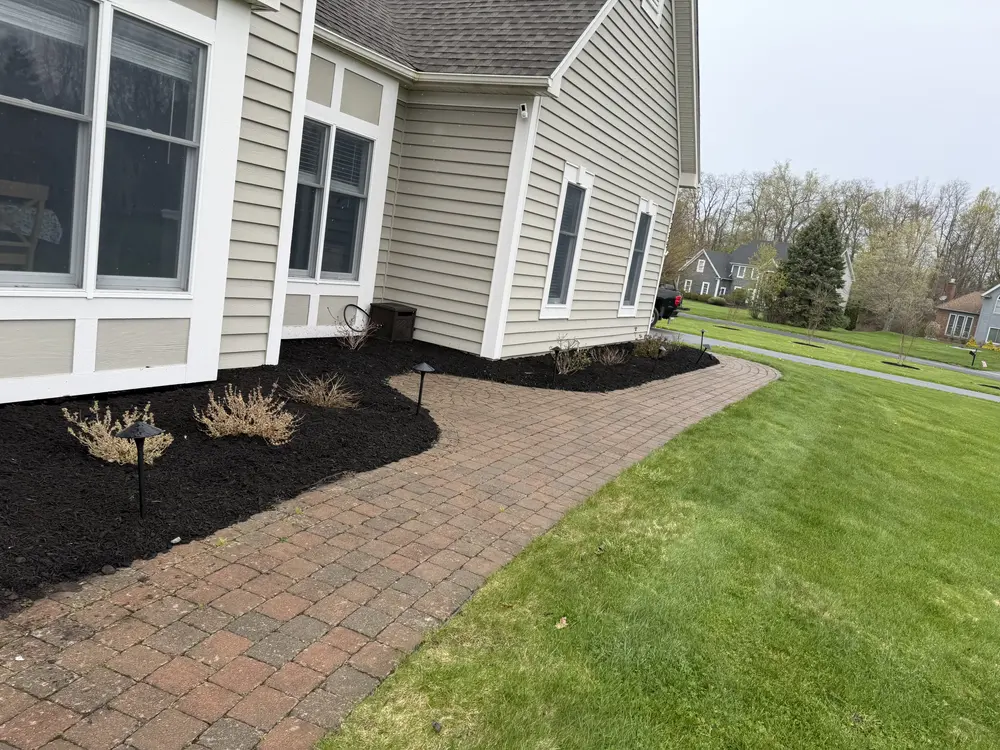 Paver walkway with fresh black mulch beds and clean edges