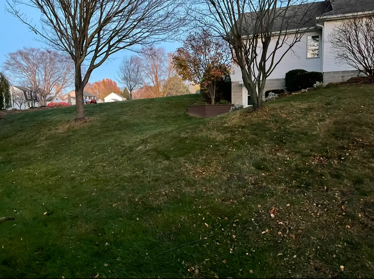 Same yard after the fall cleanup