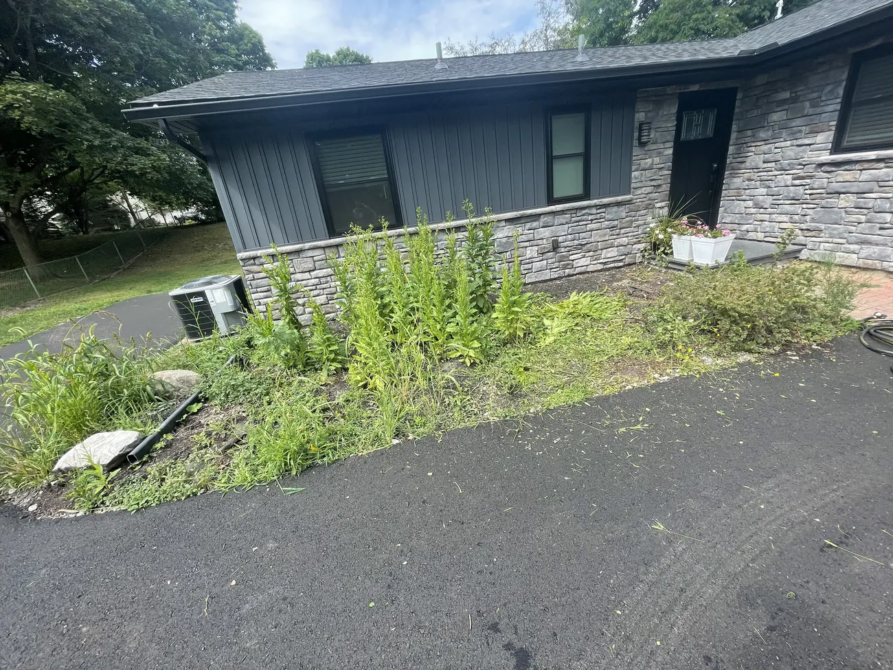 Overgrown front bed along a dark-sided stone house