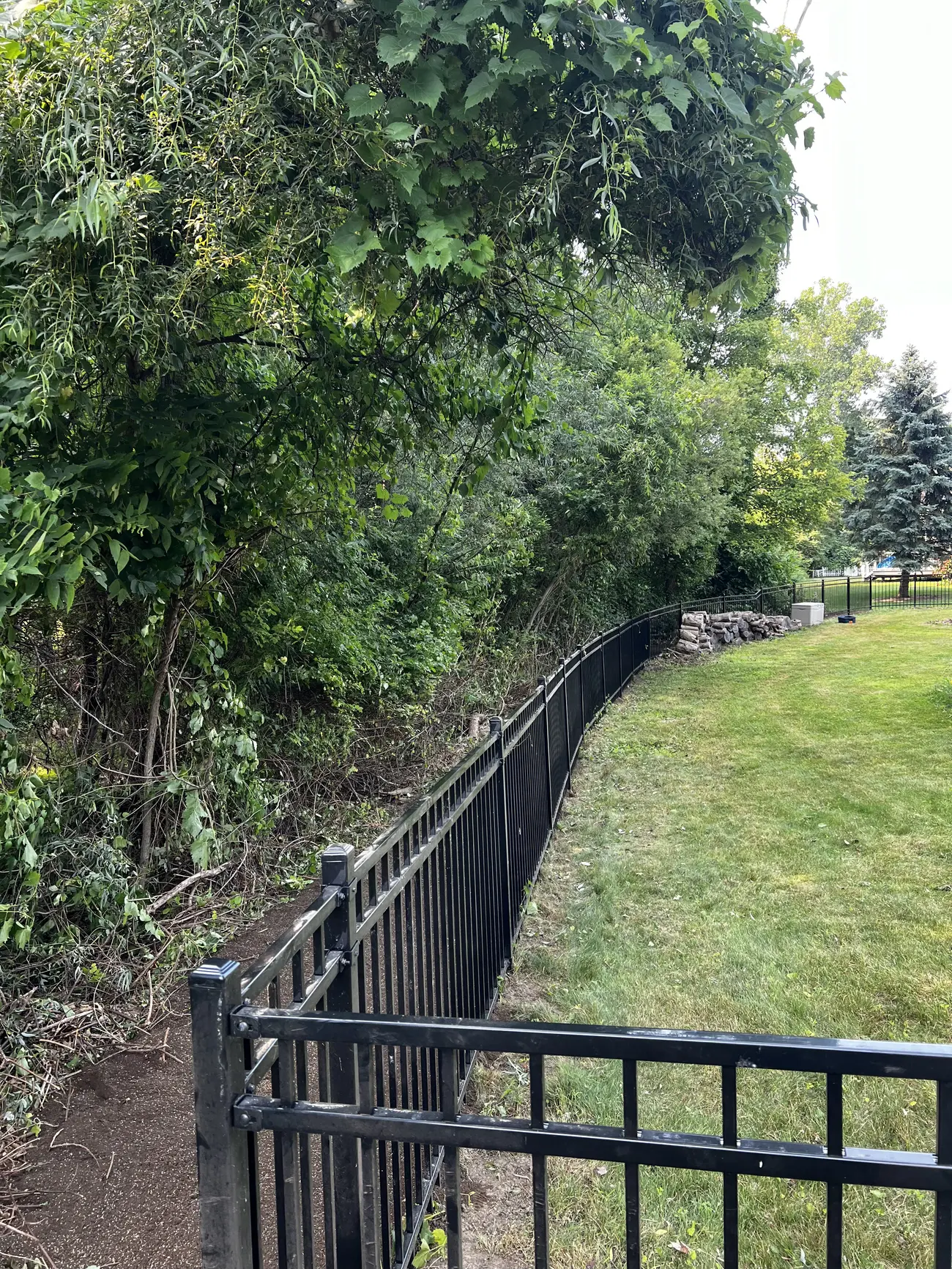Same fence line cleared back to clean lawn