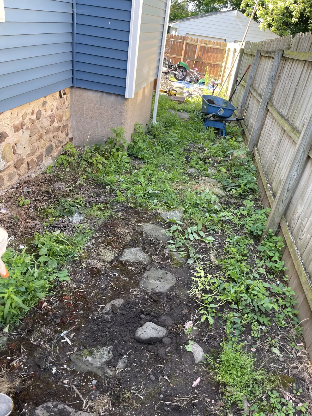 Weedy, rutted side yard between the house and fence