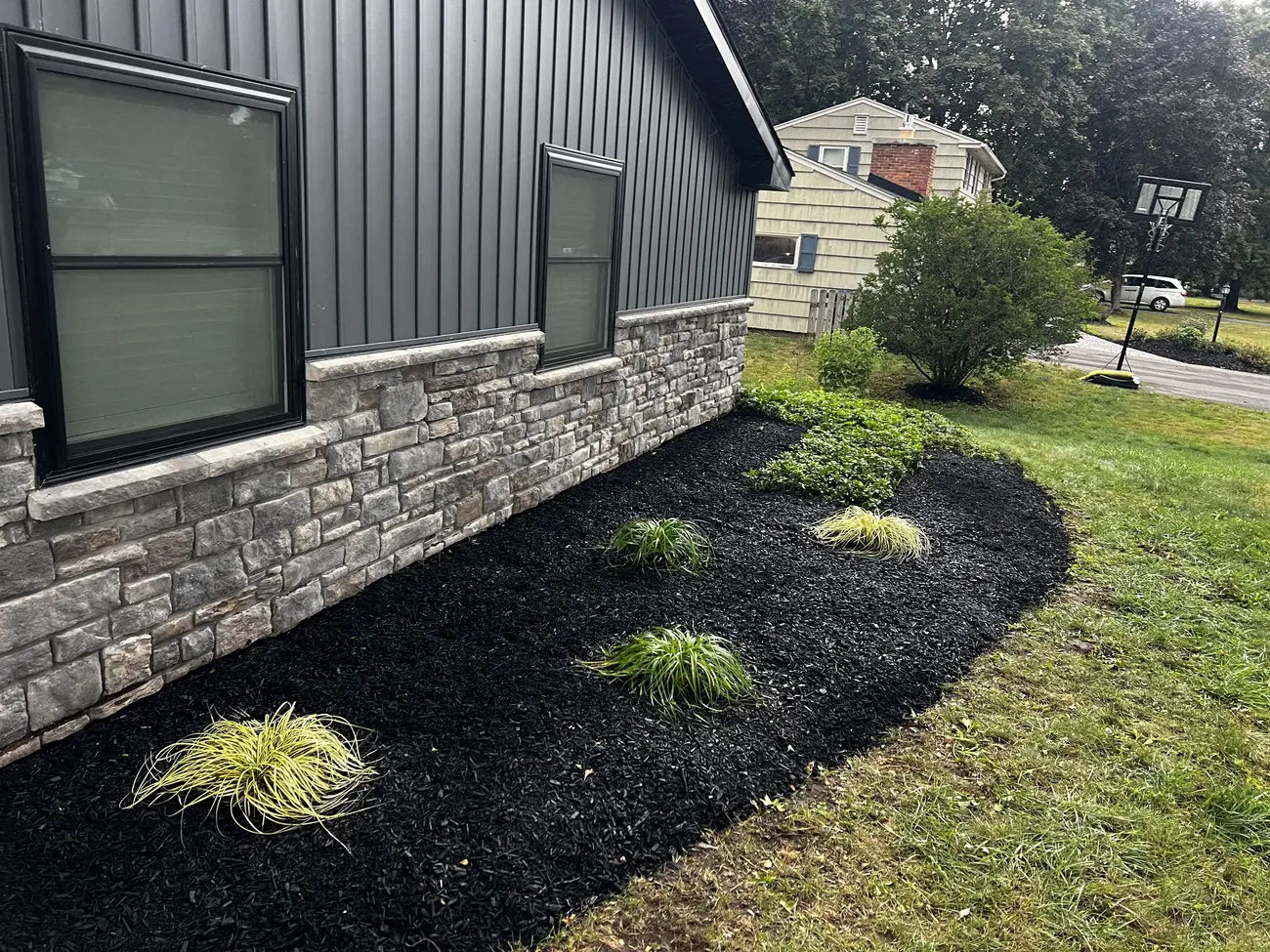 Finished side bed with black mulch and ornamental grasses