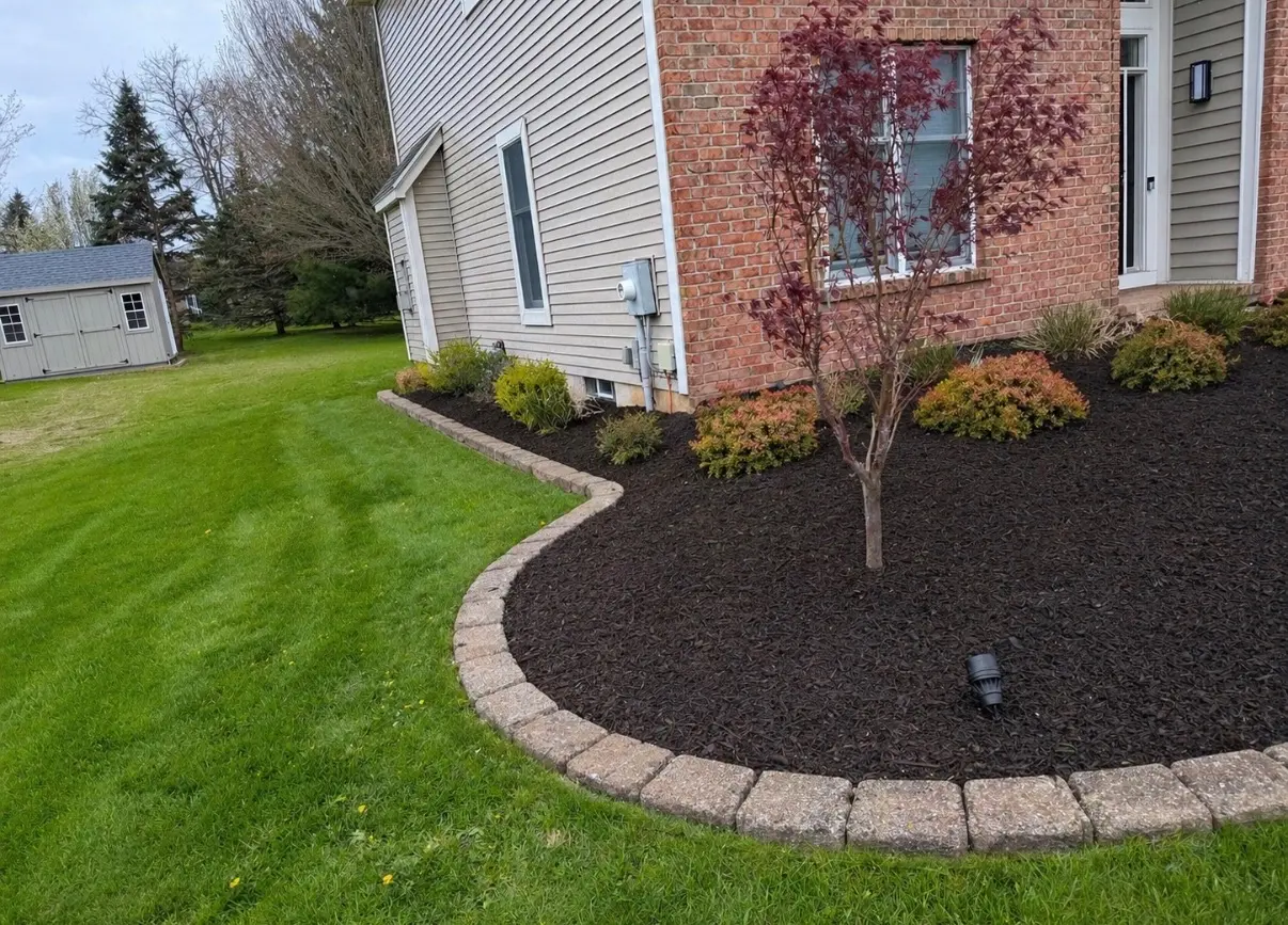 Same bed after: fresh dark mulch, cleaned paver border