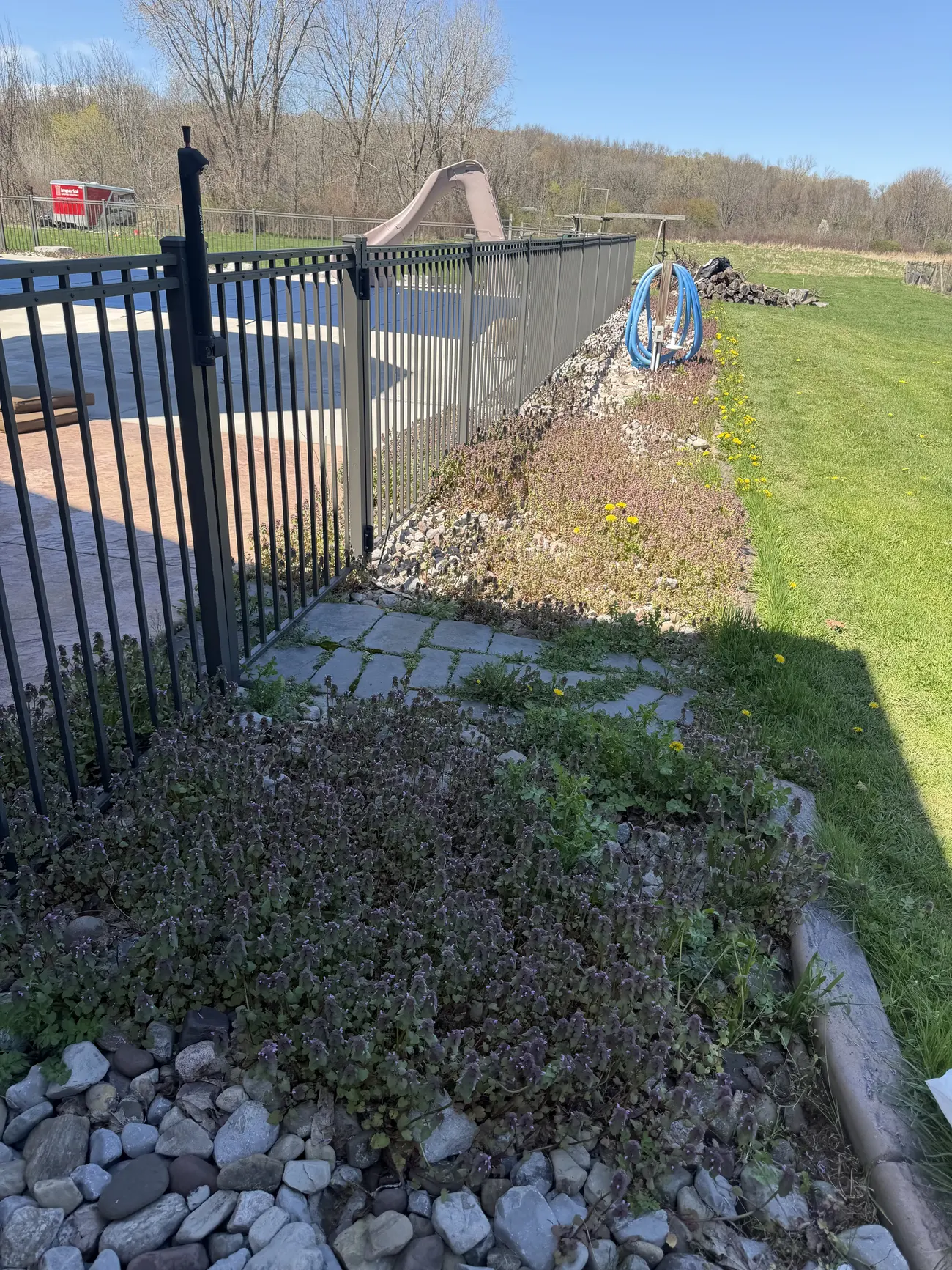 Weedy stone strip along a pool fence before the job