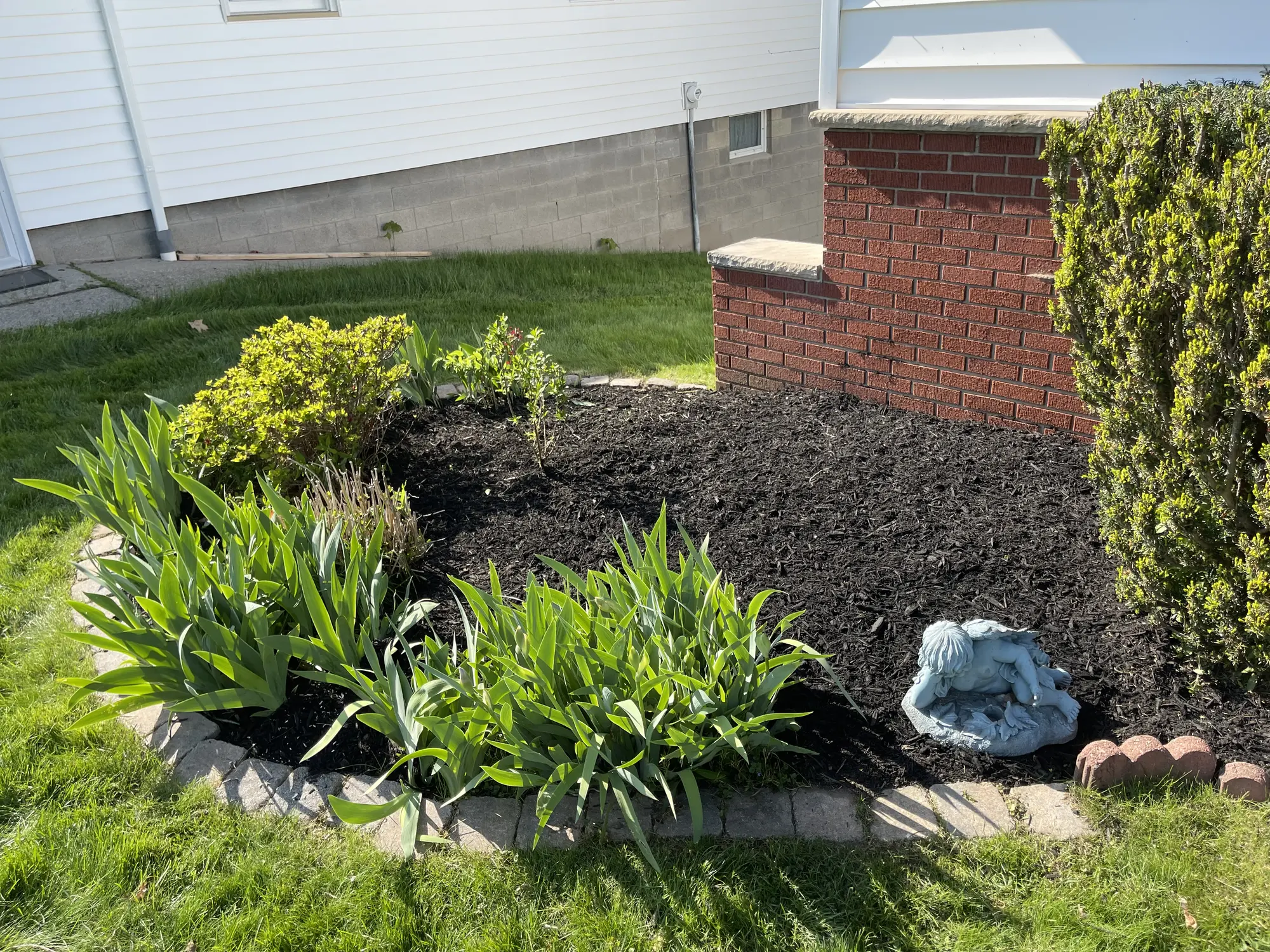 Mulched bed with hostas and a stone border beside a brick planter