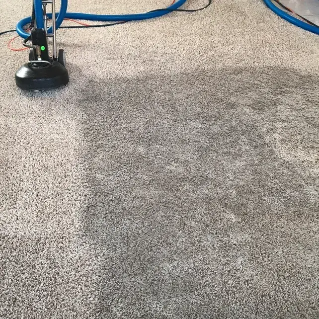 Matched before and after carpet cleaning result