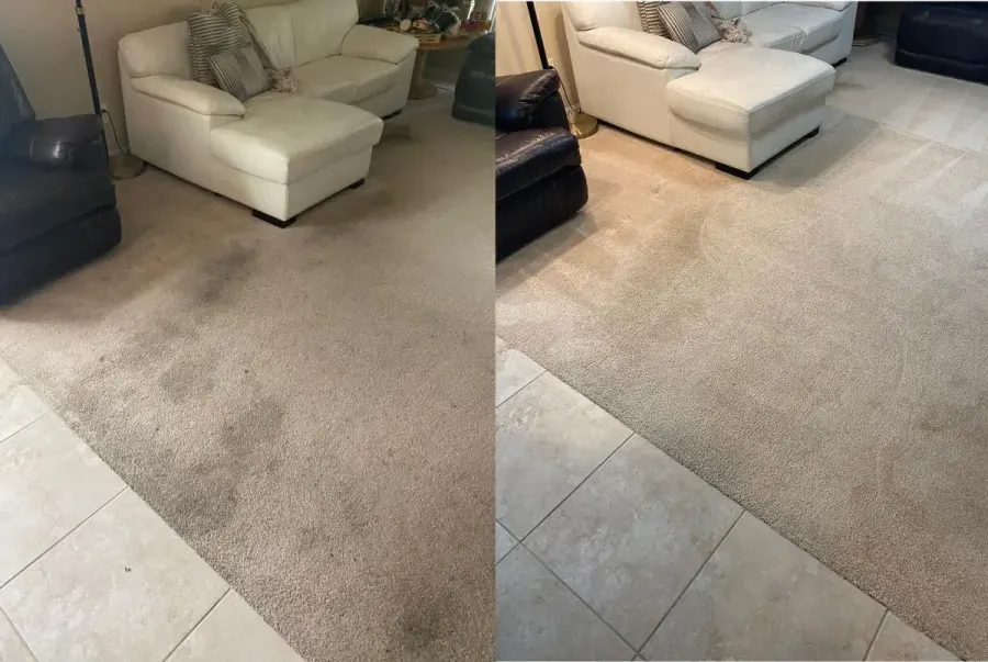 Real Sahara Carpet Care floor and carpet cleaning result