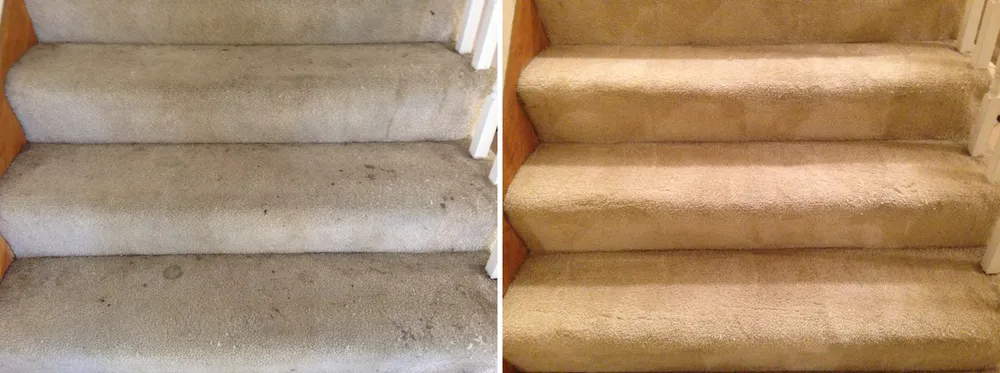 Stair carpet close-up before and after professional cleaning showing spots removed in San Jose CA