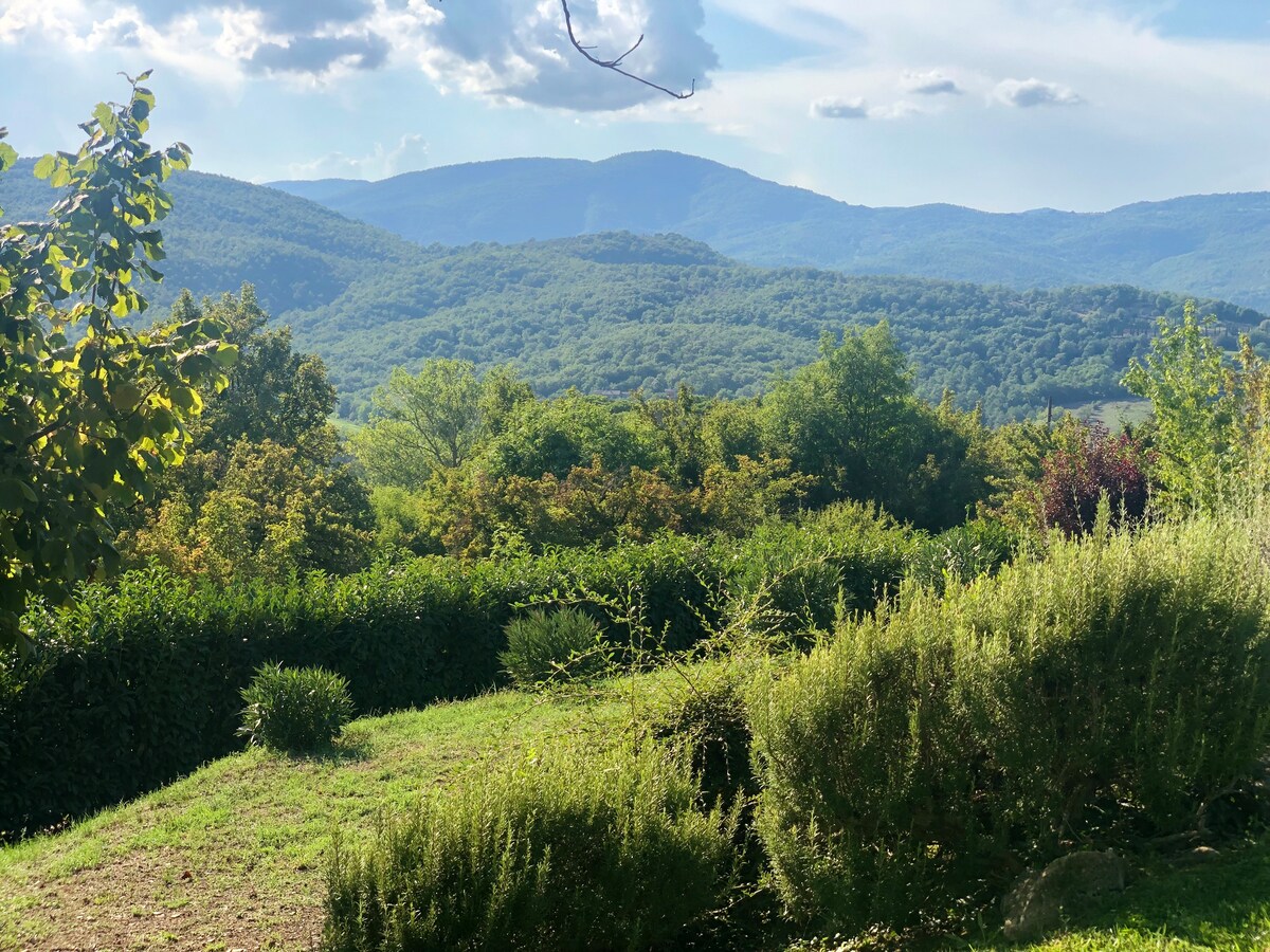 Green valley and wooded hills seen from Villa Pregiata