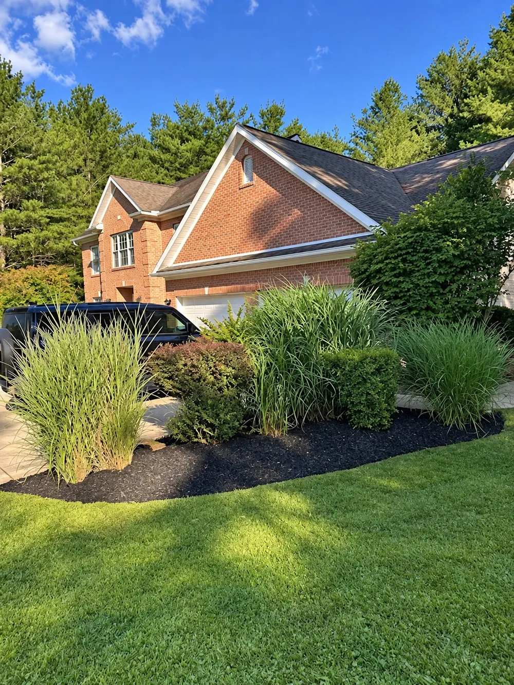 Ornamental grasses planted into a finished bed