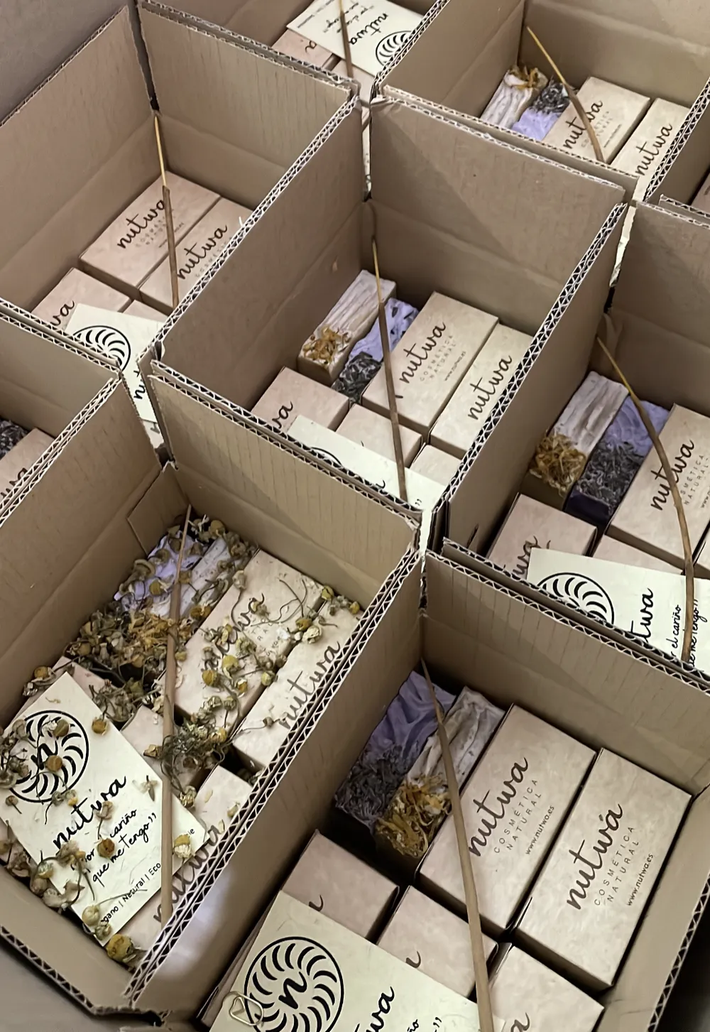 Cajas de productos Nutwa listas para enviar