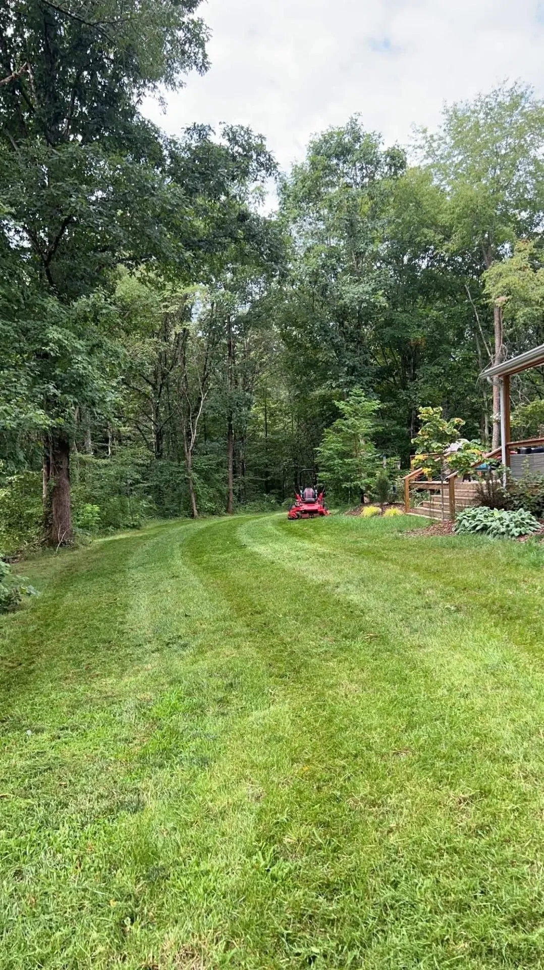 A large rural yard mowed out to where the ground runs into the tree line