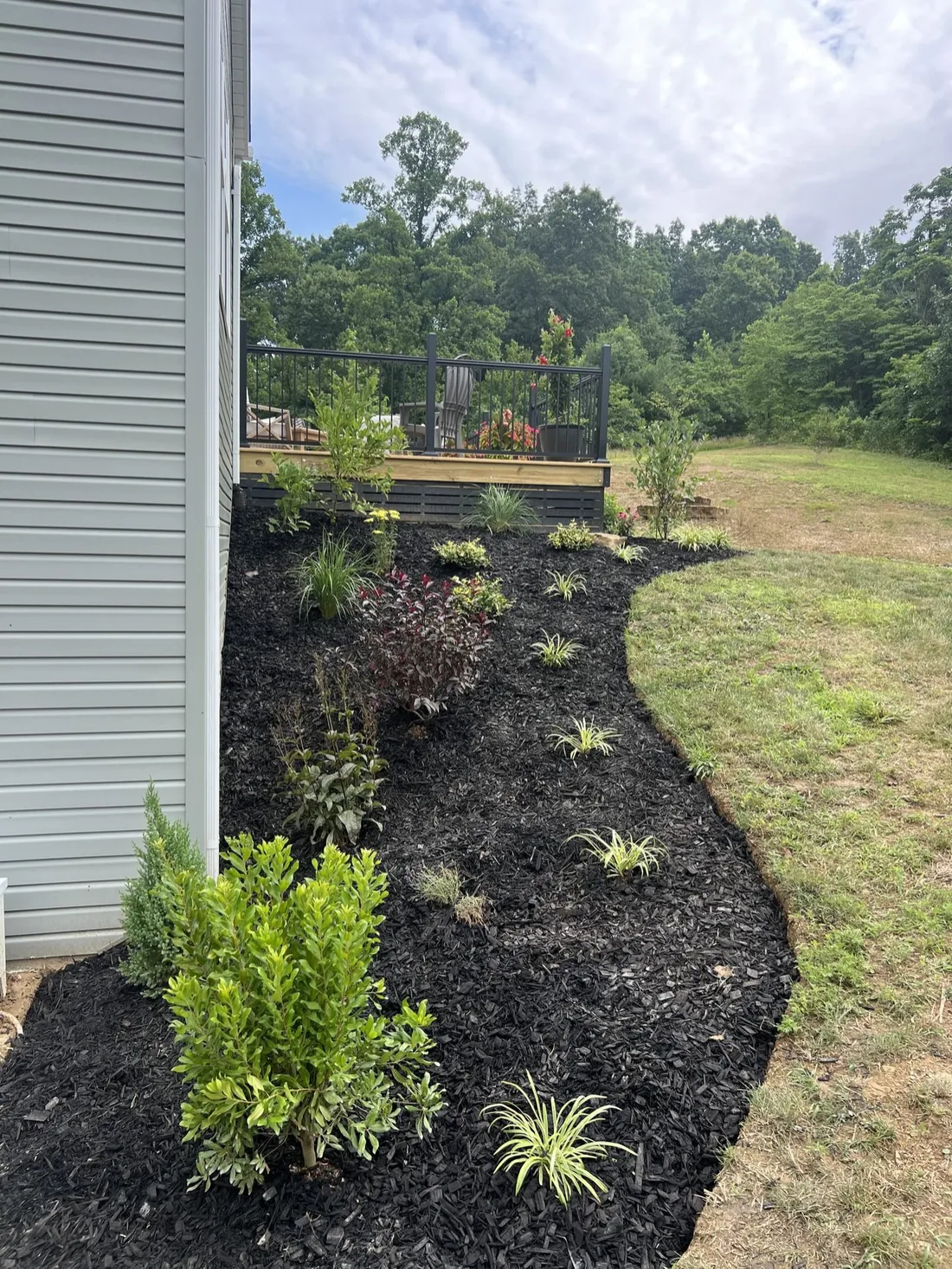 A curved mulch bed cut in along the front of a lawn