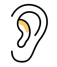 Ear ABR panel icon
