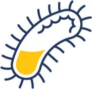 MRSA panel icon