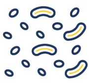 Candida panel icon