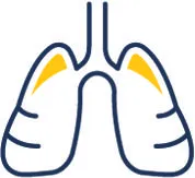 Respiratory panel icon