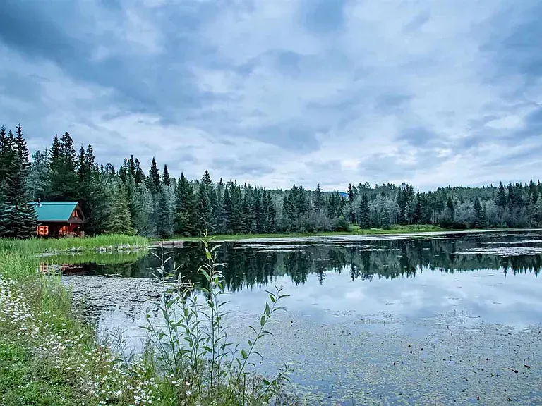 Lake Cabin and private lake