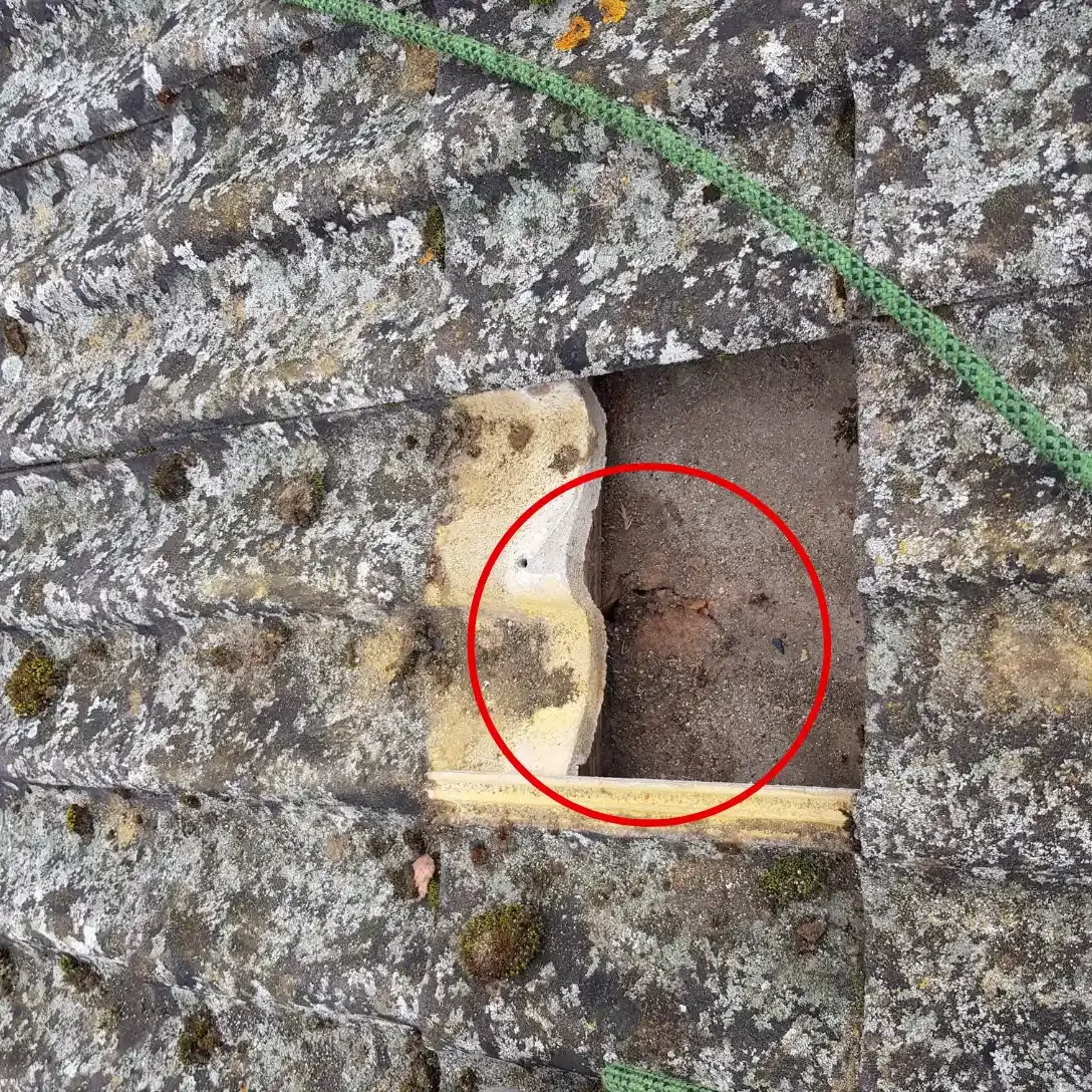Kostsam fuktskada under takpannorna