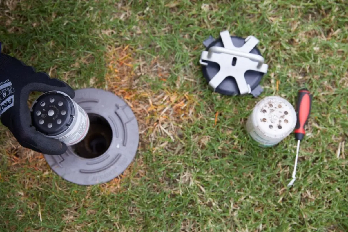 Professional termite inspection illustration