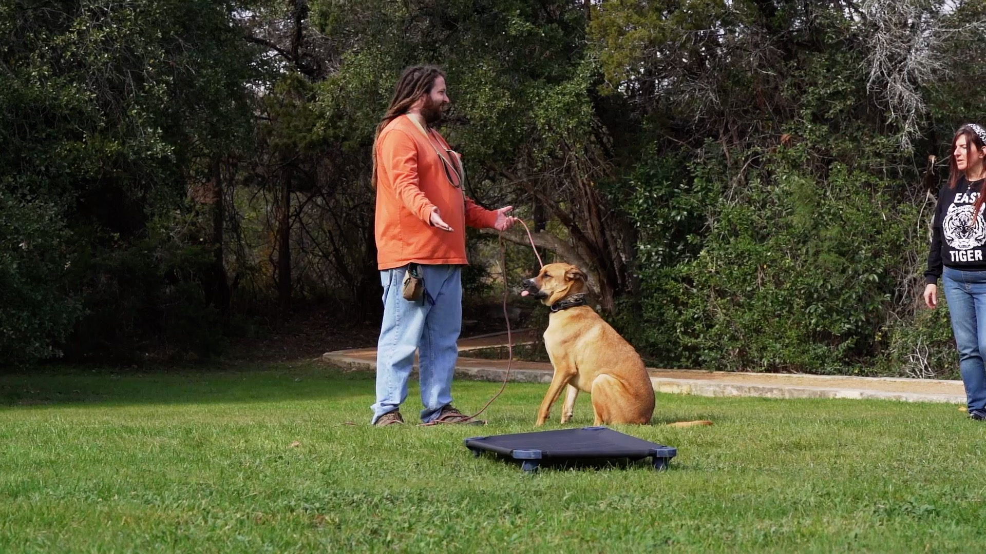 Hill Country K9 trainer coaching a dog owner during a private outdoor training lesson in Greater Austin