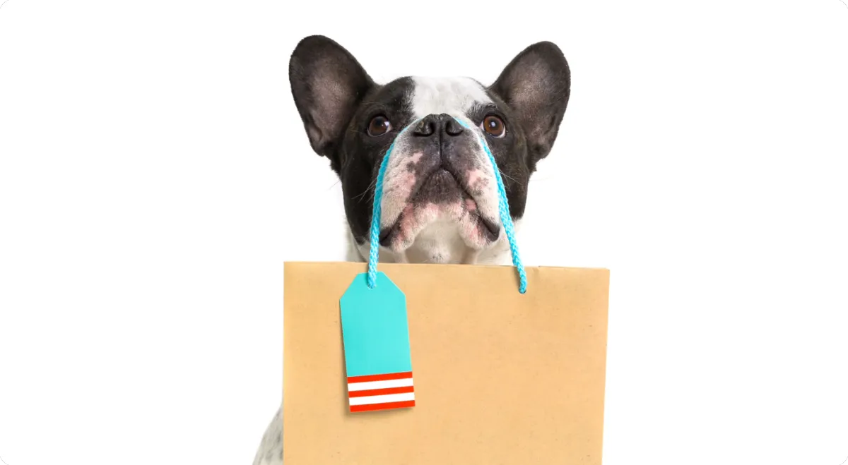 Hill Country K9 Concierge training and care service