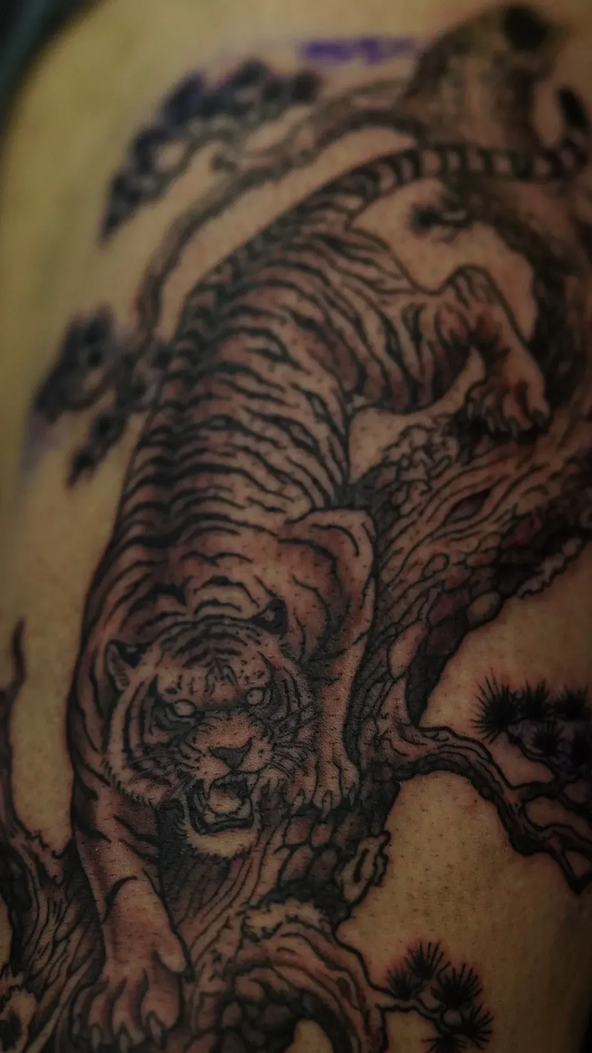 Black and grey tiger Japanese inspired tattoo by Mickey Schlick at Montana Tattoo Company in Missoula Montana
