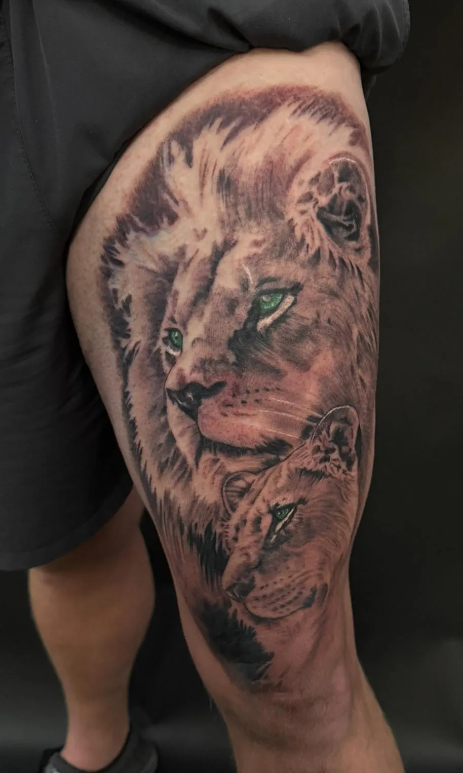 Lion portrait tattoo by BC