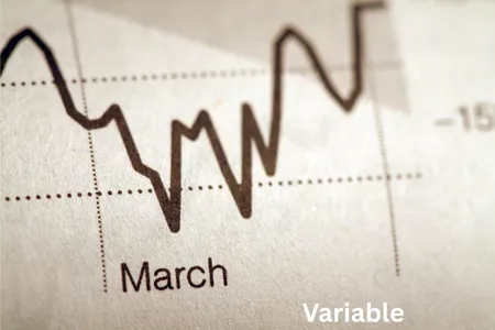 Variable Annuity