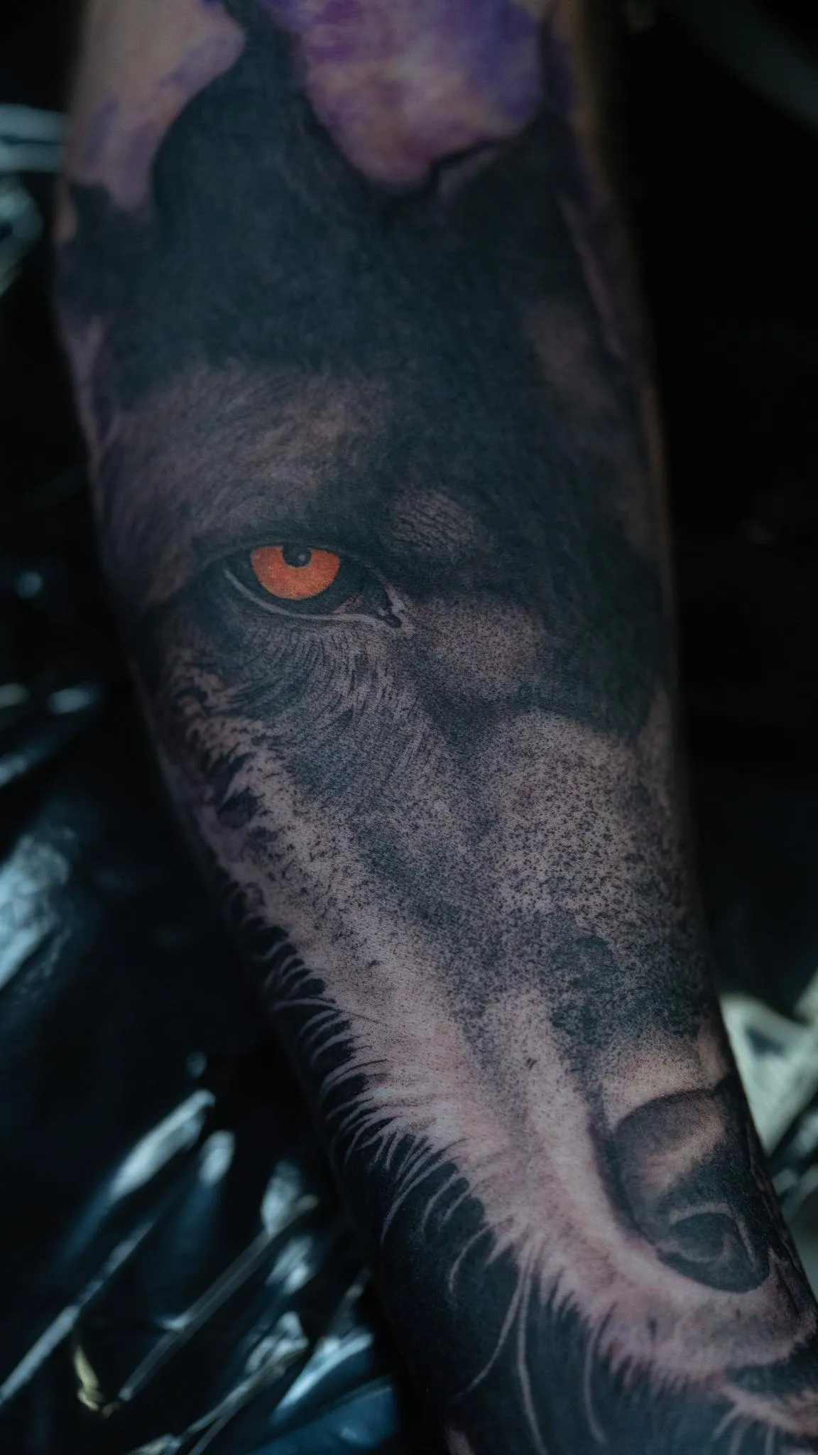 Black and grey wolf portrait tattoo with vivid orange eye by Mickey Schlick in Missoula Montana