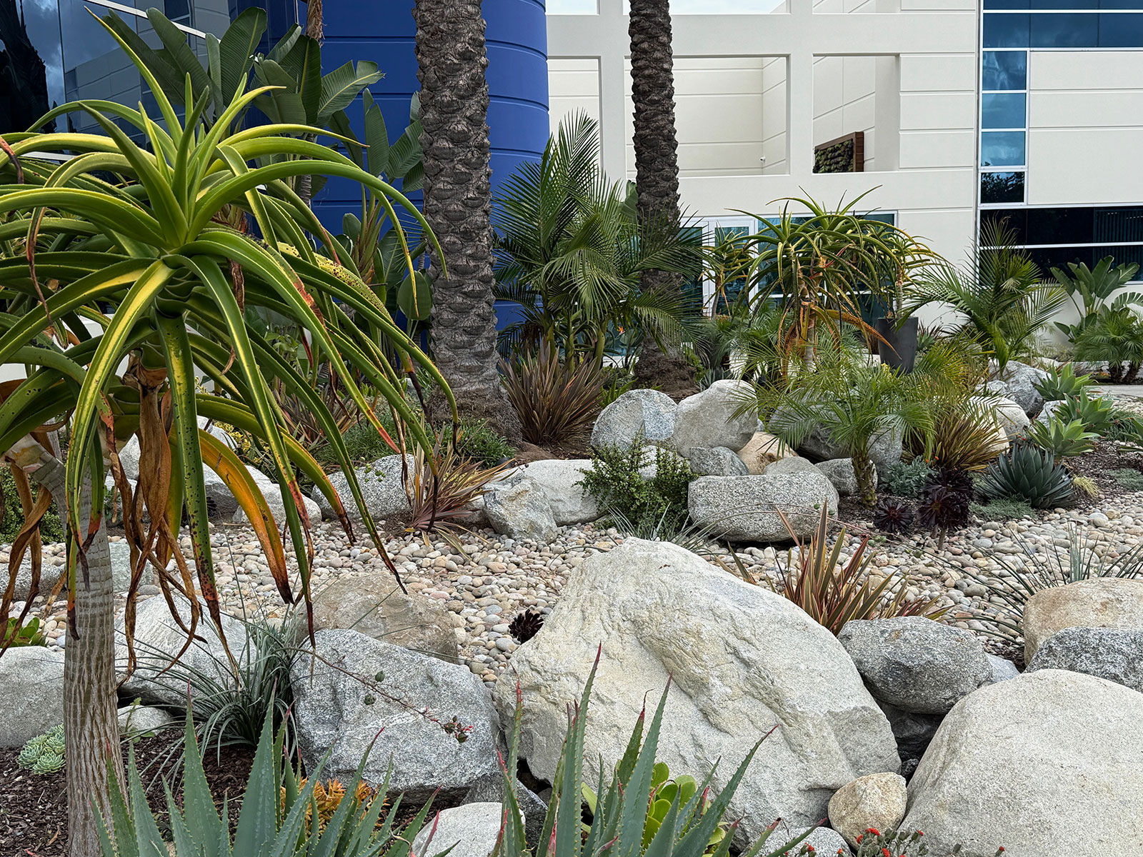 Modern Machine boulder and planting detail