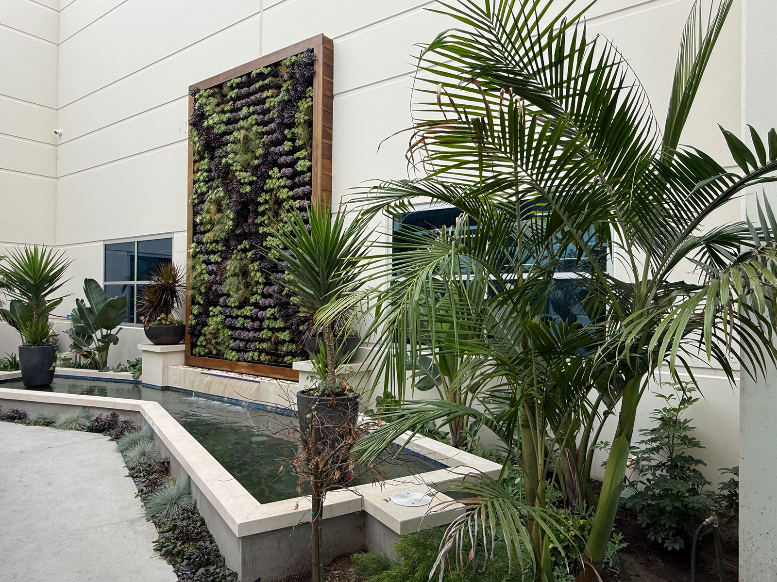 Modern Machine living wall courtyard case study by Elevation Living Walls