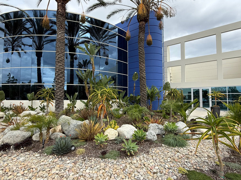 Modern Machine commercial landscape courtyard with palms and boulders