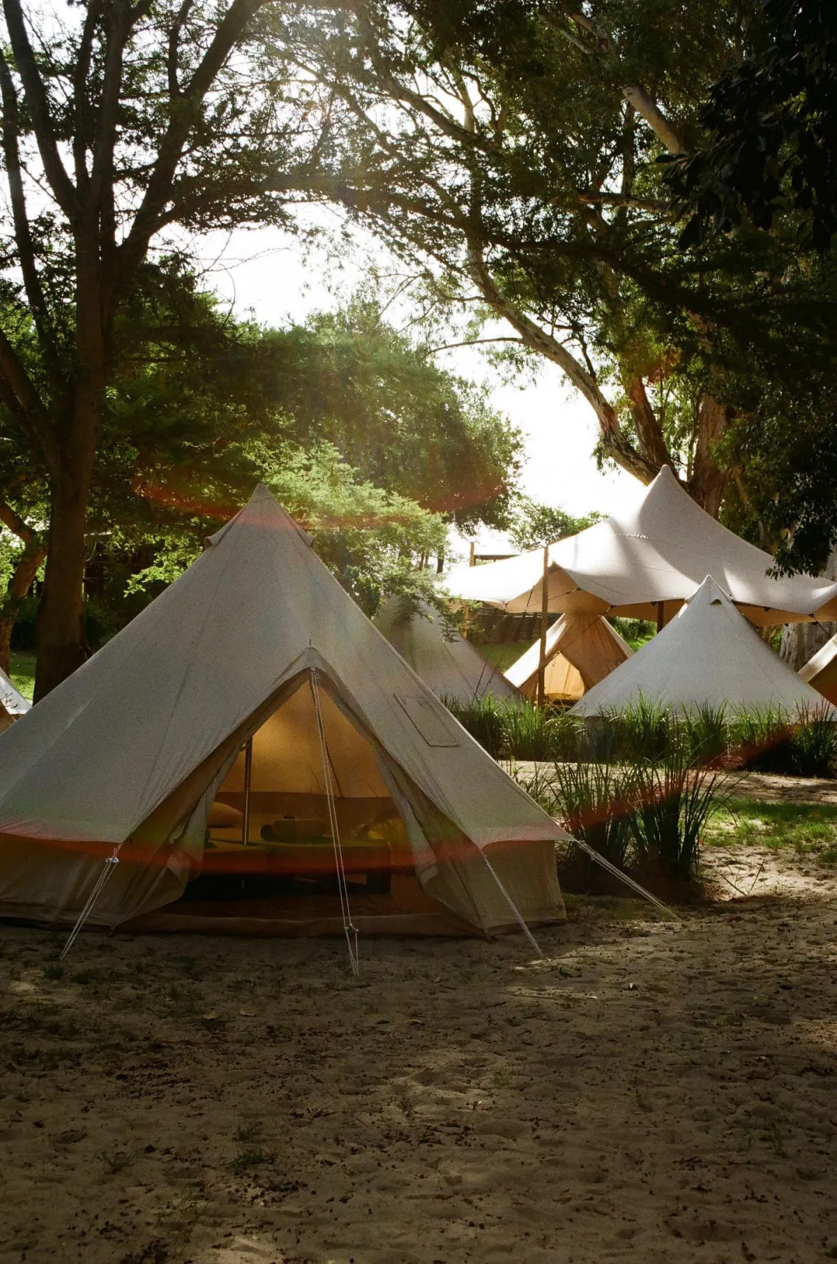 Camping tents at Worlds Apart in a shaded riverside setting.