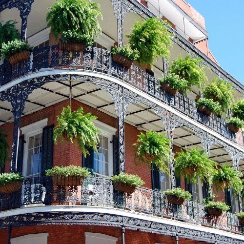 image of the french quarter