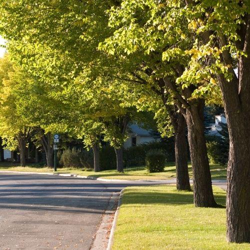 image of a white kitchen neighborhood