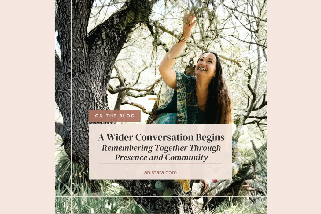 Wider Coversation Begins Graphic