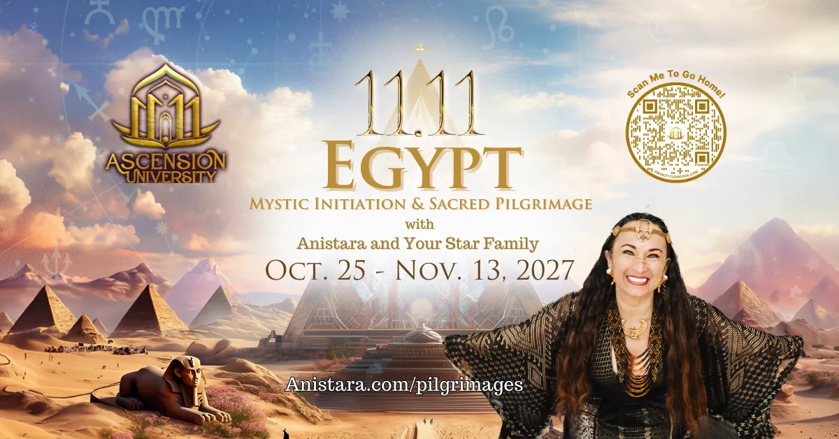 New 11.11 Egypt Banner- 2027
