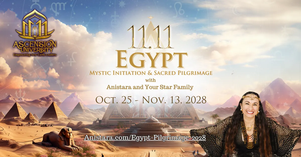 New 11.11 Egypt Banner- 2027