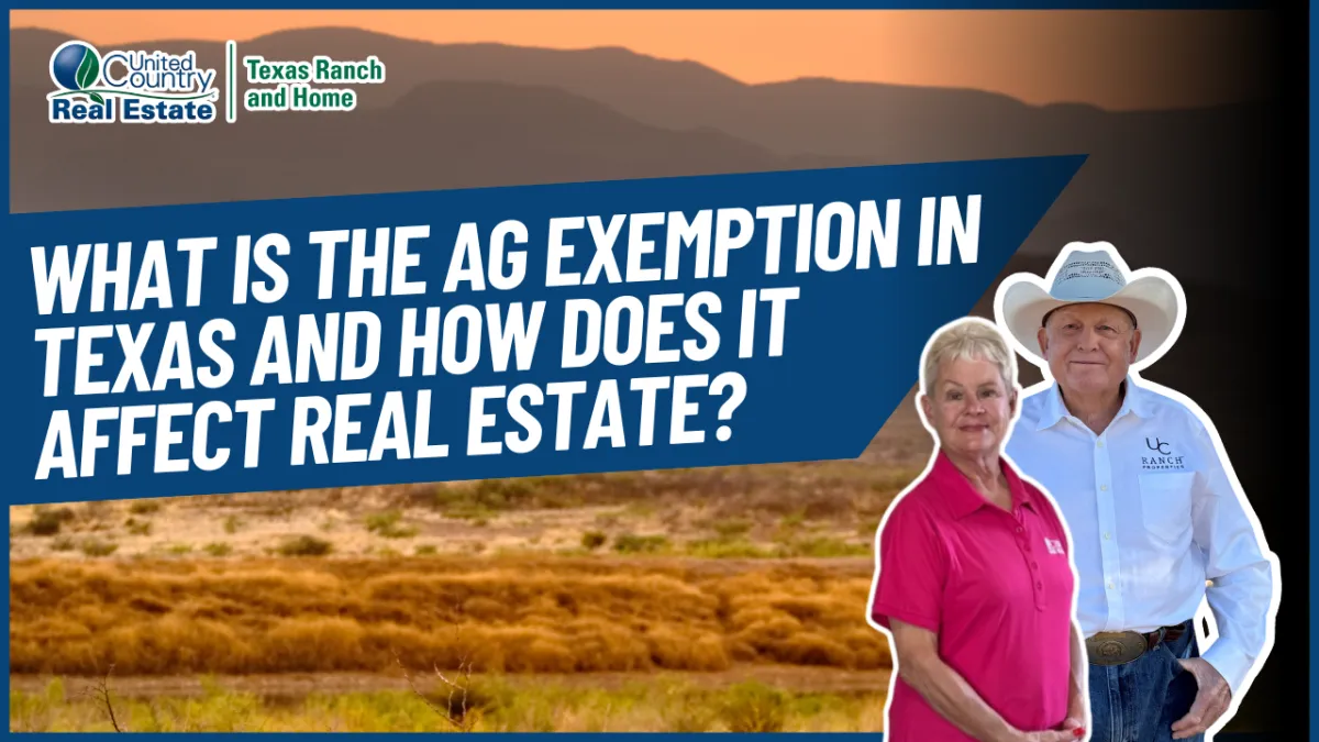 What Is the Ag Exemption in Texas and How Does It Affect Real Estate?
