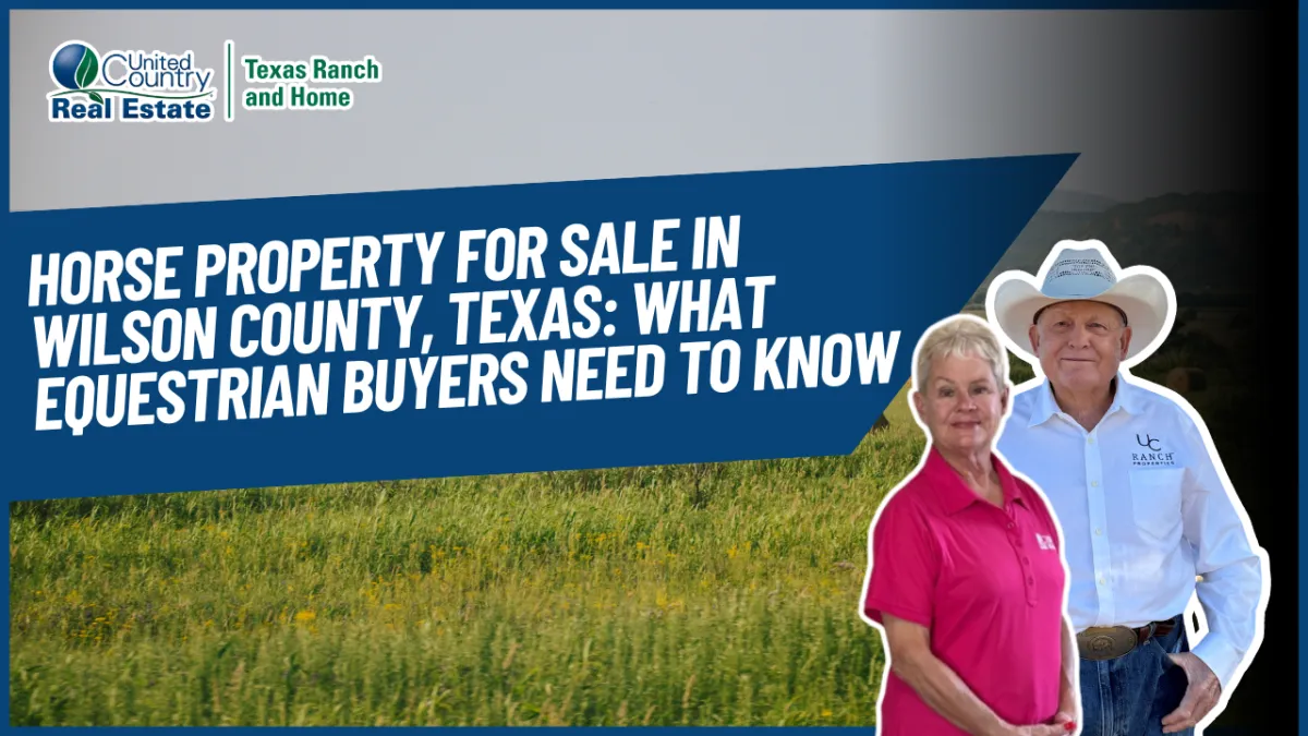 Horse Property for Sale in Wilson County, Texas: What Equestrian Buyers Need to Know