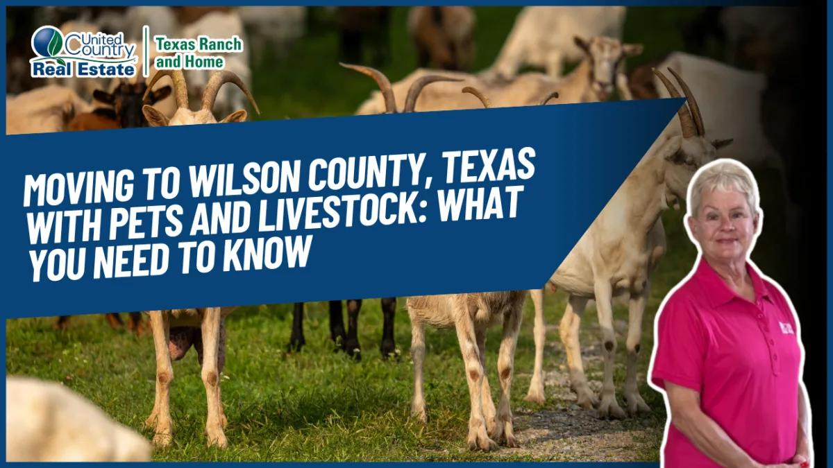 Moving to Wilson County, Texas With Pets and Livestock: What You Need to Know