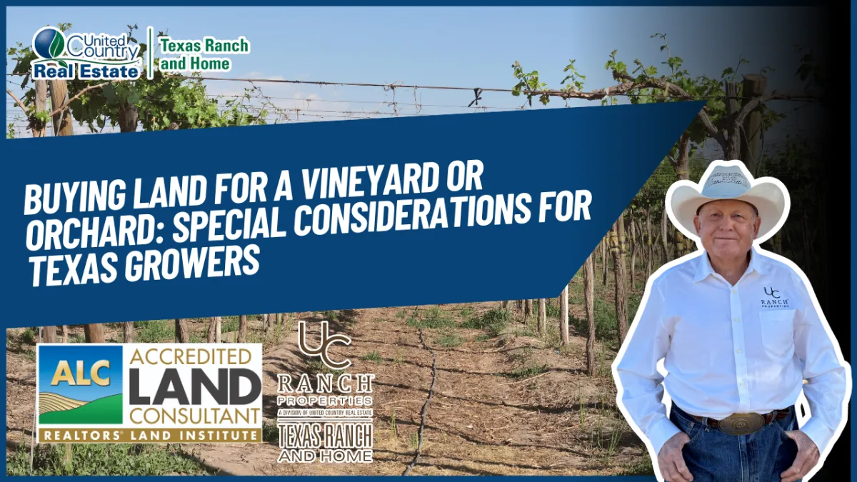 Buying Land for a Vineyard or Orchard: Special Considerations for Texas Growers