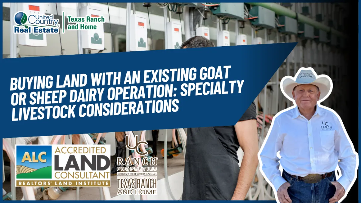 Buying Land With an Existing Goat or Sheep Dairy Operation: Specialty Livestock Considerations